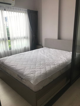 🍀 ให้เช่า กรีเน่ ดอนเมือง - สรงประภา 🍀 สนใจแอดไลน์ @zcondo (มี@นำหน้า) 🔥  C5474