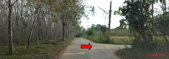 picture LAND 1467.4 Sq.w. Khok Pho Pattani for 1M - 5/14