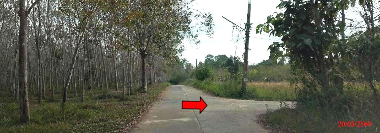 picture LAND 1467.4 Sq.w. Khok Pho Pattani for 1M - 10/14