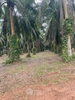 listing thumbnail image 12