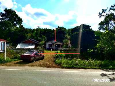 ขายบ้านเดี่ยว : บ้านเดี่ยว 110 ตร.วา ดอยหลวง เชียงราย 1.3M