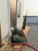 listing thumbnail image 15