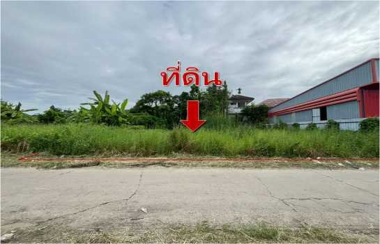 รูป ขายที่ดินเปล่า ซอยนวมินทร์ 24 เหมาะพี่พักอาศัย ทำโกดัง 99 ตรว - รูปที่ 3/5