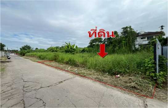 รูป ขายที่ดินเปล่า ซอยนวมินทร์ 24 เหมาะพี่พักอาศัย ทำโกดัง 99 ตรว - รูปที่ 2/5