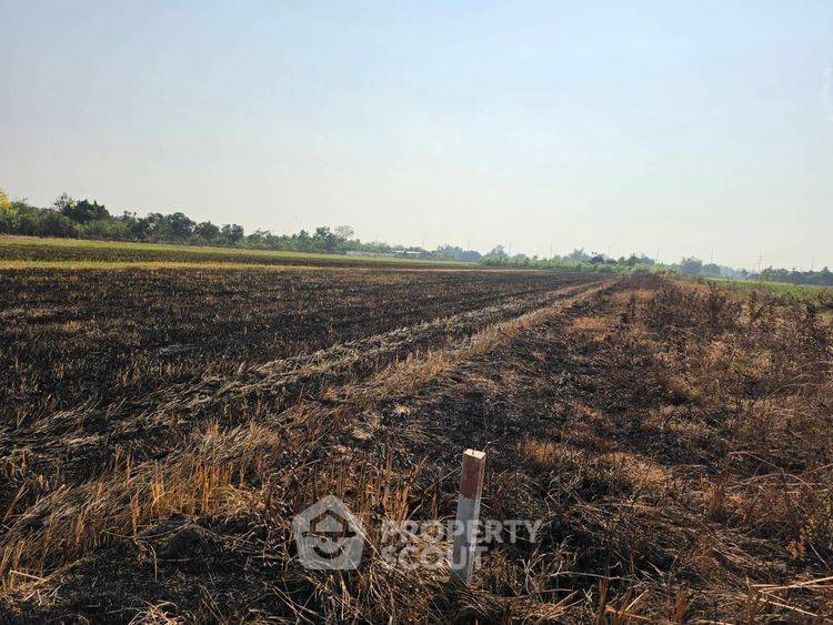รูป ที่ดินสำหรับปล่อยขาย 11,200 ตารางเมตร แถว ใน ราษฎร์นิยม (ID 2805793) - รูปที่ 2/6