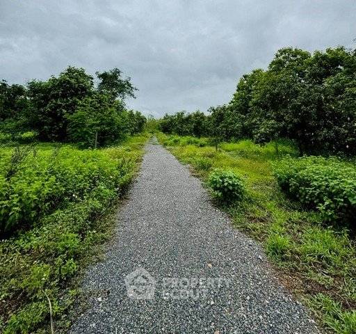 รูป ที่ดินสำหรับขาย ขนาด 1,740 ตร.ม. ใกล้สนามบินนานาชาติเชียงใหม่ สุเทพ (ID 2659707) - รูปที่ 2/3
