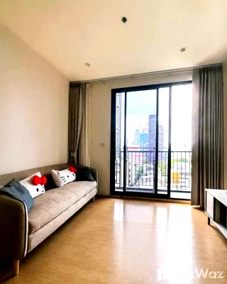 Condos for sale : Hot for sell/rent : Pet friendly 6186999
