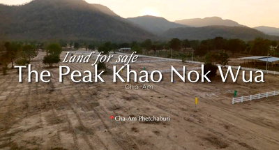 Land for sale Petchburi : Garden land near the mountain and sea, Cha-am Phetchaburi – perfect for your private home.