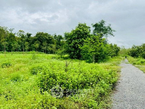 ที่ดินสำหรับขาย ขนาด 1,740 ตร.ม. ใกล้สนามบินนานาชาติเชียงใหม่ สุเทพ (ID 2659707)