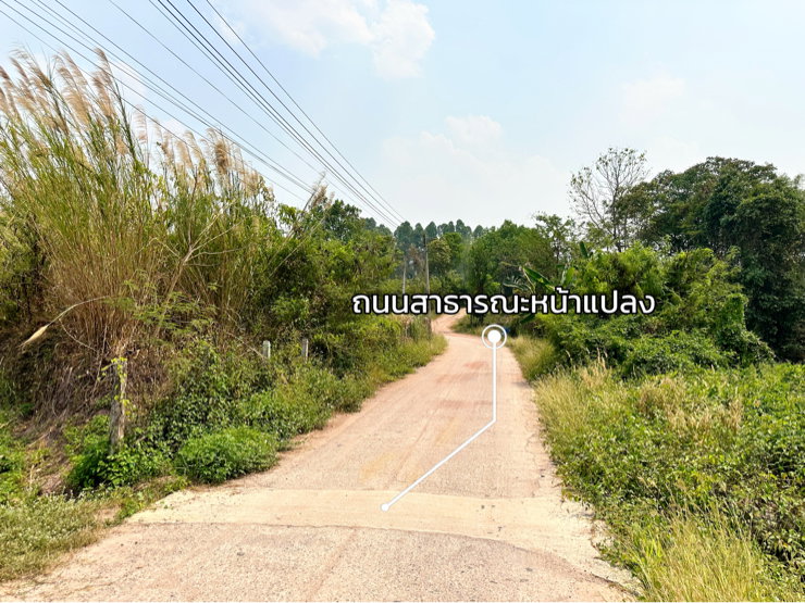 picture 5-Acre Land with Modern Open-Plan House and Panoramic Mountain Views, Wiang Chai, Chiang Rai Property Overview - 14/28