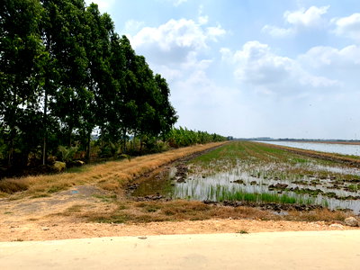 ที่ดิน นิคมอุตสาหกรรมเอเซียสุวรรณภูมิ : ขายที่ดิน 23 ไร่ 96 ตรว   คลองเปรง  เมืองฉะเซิงเทรา  ราคาต่อรองได้