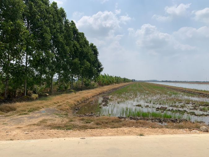 ขายที่ดิน 23 ไร่ 96 ตรว   คลองเปรง  เมืองฉะเซิงเทรา  ราคาต่อรองได้