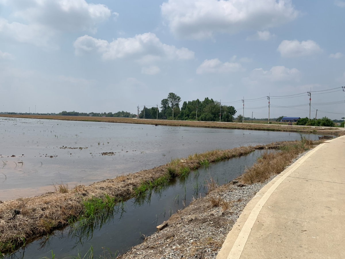 รูป ขายที่ดิน 23 ไร่ 96 ตรว   คลองเปรง  เมืองฉะเซิงเทรา  ราคาต่อรองได้ - รูปที่ 3/10