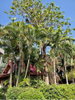 listing thumbnail image 10