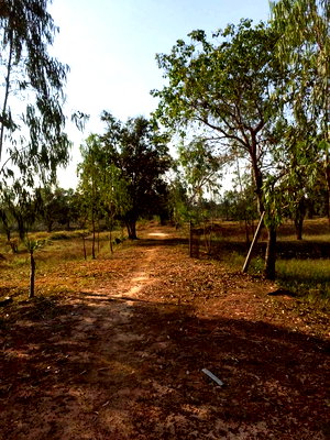 ที่ดิน ร้อยเอ็ด :  ขายถูกมาก ที่ดินเปล่า 22 ไร่ 2 งาน 48 ตร.ว. ติดถนนอินโดจีน แปลงสวย ราคาดี  สระนกแก้ว โพนทอง ร้อยเอ็ด