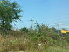 listing thumbnail image 7