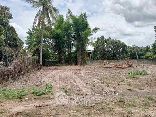 picture Land For Sale 197 Sqm In San Phak Wan, Hang Dong, Chiang Mai (ID 2734499) - 4/6