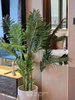 listing thumbnail image 15