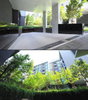 listing thumbnail image 14