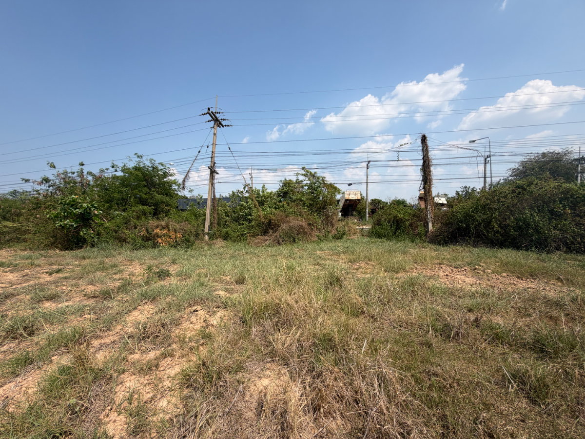 รูป ขายที่ดิน 5.5 ไร่ แถมฟรี 1 ไร่ โกสุมพิสัย มหาสารคาม - รูปที่ 12/38