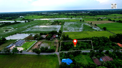 ที่ดิน เมืองนครนายก นครนายก : ขายที่ดิน 1 ไร่ 378 ตารางวา มีโฉนด ติดถนนหลวง หน้ากว้าง 60 ม. อ.เมืองนครนายก ขายไม่แพง