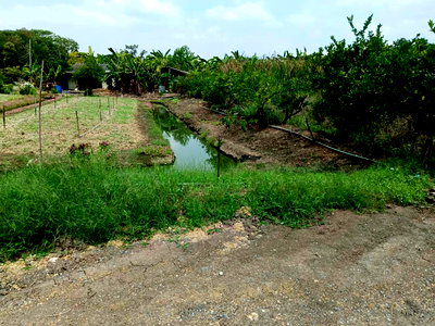 ที่ดิน บางใหญ่ นนทบุรี : ขายที่ดินแปลงสวย 1 ไร่ 81 ตร.ว. ทำเลศักยภาพ บางใหญ่ ใกล้เมือง เดินทางสะดวก