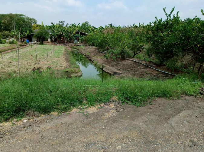 ขายที่ดินแปลงสวย 1 ไร่ 81 ตร.ว. ทำเลศักยภาพ บางใหญ่ ใกล้เมือง เดินทางสะดวก