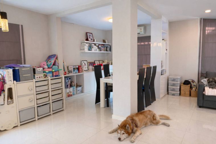 3-bed house for sale, 194 sqm, 60.2 sq wah, The Plant Bangkae