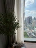 listing thumbnail image 10