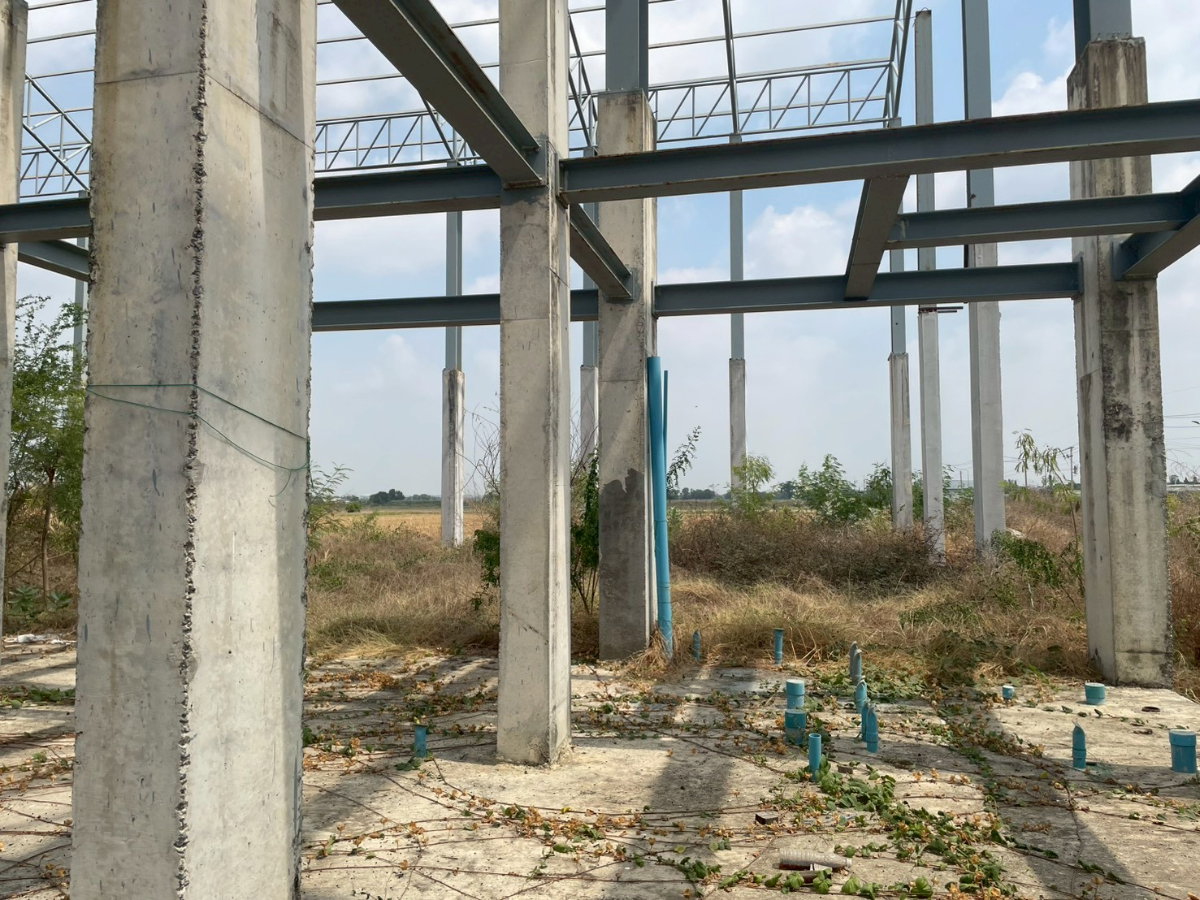 รูป ขาย ที่ดินพร้อมสิ่งปลูกสร้าง  เนือ้ที่ 48ไร่ 2งาน62 ตรว คลอง 14 พืชอุดม ลำลูกกา ปทุมธานี - รูปที่ 5/12