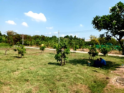 ที่ดิน บ.สยามแกรนส์  : ขายด่วนที่ดิน 122 ตรว. โครงการชัยพฤกษ์บางนา กม.18 เยื้อง ม.หัวเฉียวเฉลิมพระเกียรติฯ