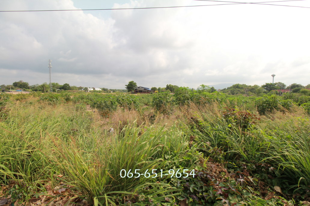 รูป ขายที่ดินริมทะเล 5-2-46 ไร่ ติดหาดแม่รำพึง ระยอง แปลงสวย ติดถนน 3 ด้าน เหมาะพัฒนาโครงการ - รูปที่ 7/10