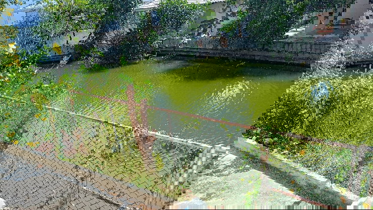 รูป 📣ประกาศขายบ้าน หมู่บ้าน บ้านสวนปาล์มลากูน (เจ้าของบ้านขายเอง) - รูปที่ 12/13