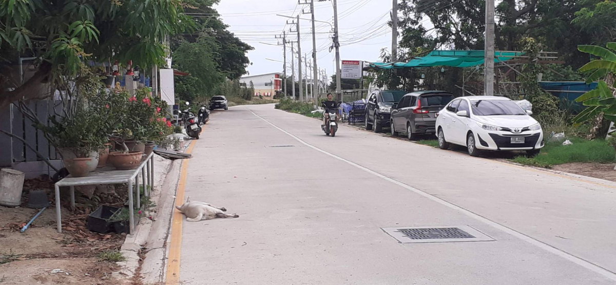 รูป ขายที่ดิน อำเภอ หัวหิน 12 ไร่  ติดถนนหลวง - รูปที่ 17/22