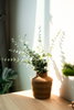 listing thumbnail image 93