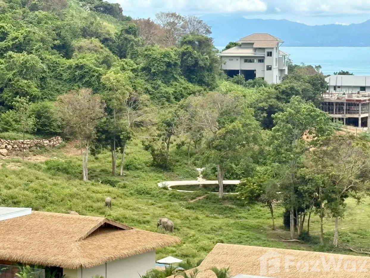 รูป ขาย วิลล่า 4 ห้องนอน ใน บ่อผุด, สุราษฎร์ธานี 6189726 - รูปที่ 41/49