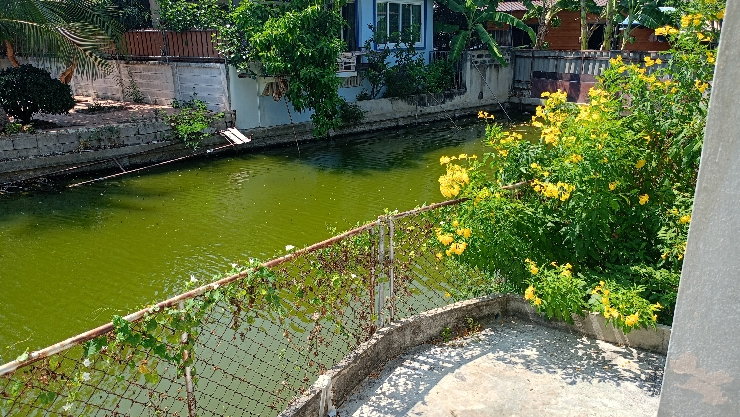รูป 📣ประกาศขายบ้าน หมู่บ้าน บ้านสวนปาล์มลากูน (เจ้าของบ้านขายเอง) - รูปที่ 11/13