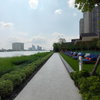 listing thumbnail image 14
