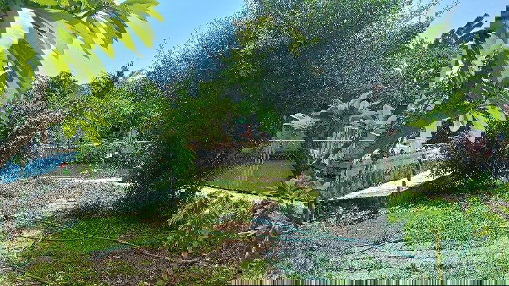 รูป 📣ประกาศขายบ้าน หมู่บ้าน บ้านสวนปาล์มลากูน (เจ้าของบ้านขายเอง) - รูปที่ 8/13