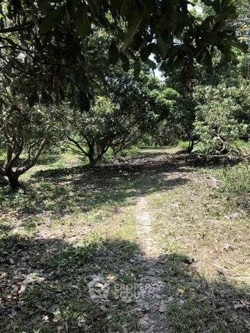 รูป ที่ดินสำหรับปล่อยขาย 3,044 ตารางเมตร แถว ใกล้ เมืองเก่า (ID 2807568) - รูปที่ 2/6