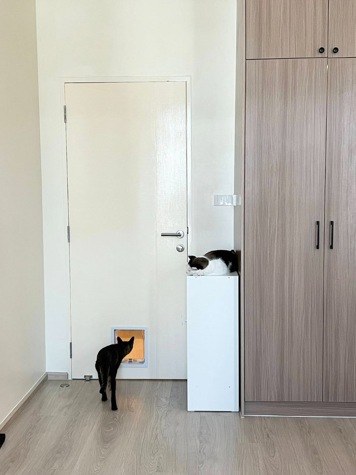รูป 🔸🐶🐱Pet Friendly🔷🔶HBN0270 ทาวน์โฮม วิลลาจจิโอ 3 ศรีนครินทร์ - บางนา 📲LINE: @theagentpro 🔶🔷🔸 - รูปที่ 4/34