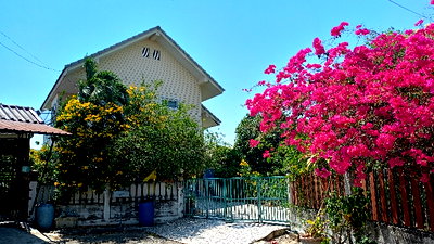 บ้านเดี่ยว วิทยาลัยพยาบาลบรมราชชนนีนพรัตน์วชิระ : 📣ประกาศขายบ้าน หมู่บ้าน บ้านสวนปาล์มลากูน (เจ้าของบ้านขายเอง)