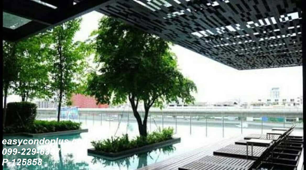 รูป P-125858 ทีล สาทร-ตากสิน วิวเมืองสวย 1 ห้องนอน ใกล้ BTS วงเวียนใหญ่ เพียง 3 นาที! 16,000 บาท Line Id: @easycondoplus 099-229-6397 - รูปที่ 5/13
