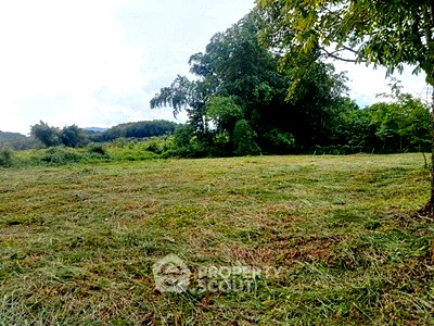 ที่ดิน ม.เชียงใหม่ : ที่ดินสำหรับปล่อยขาย 4,432 ตารางเมตร แถว ใกล้ นิมมานเหมินท์ (ID 2803276)