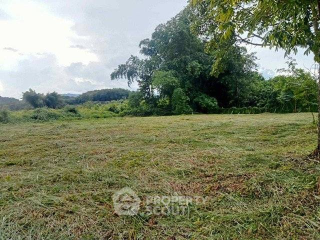 picture Land For Sale 1,108 Sqm Nimmanhaemin Suthep Near Chiang Mai City (ID 2803276) - 1/3