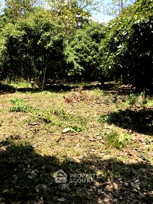 ที่ดิน ศูนย์การค้าเวียงพิงค์ : ที่ดินสำหรับปล่อยขาย 3,044 ตารางเมตร แถว ใกล้ เมืองเก่า (ID 2807568)