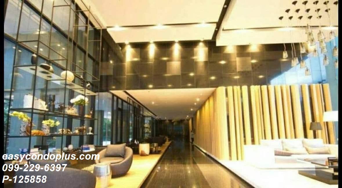 รูป P-125858 ทีล สาทร-ตากสิน วิวเมืองสวย 1 ห้องนอน ใกล้ BTS วงเวียนใหญ่ เพียง 3 นาที! 16,000 บาท Line Id: @easycondoplus 099-229-6397 - รูปที่ 10/13