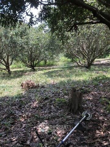 รูป ที่ดินสำหรับปล่อยขาย 3,044 ตารางเมตร แถว ใกล้ เมืองเก่า (ID 2807568) - รูปที่ 5/6