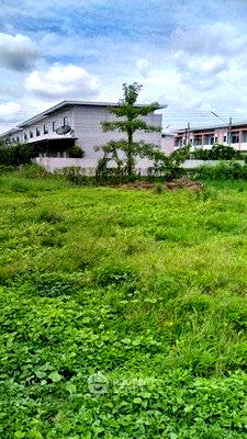 ที่ดิน การไฟฟ้าส่วนภูมิภาค สันทราย : ที่ดินสำหรับปล่อยขาย 1,492 ตารางเมตร แถว ใกล้ มหาวิทยาลัยแม่โจ้ (ID 2800721)