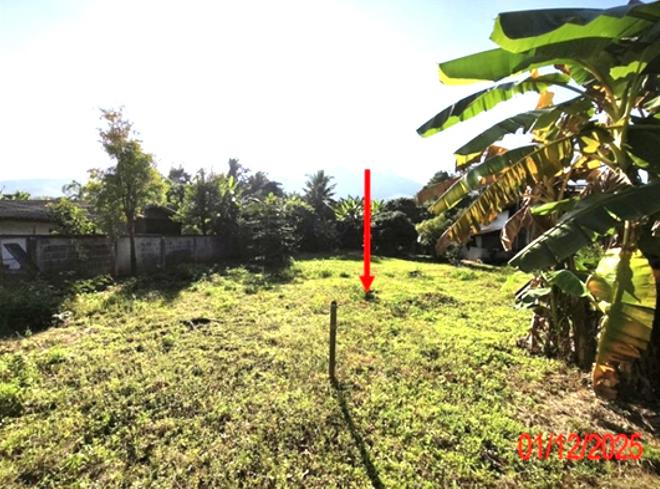 รูป ที่ดินว่างเปล่า 250 ตร.วา บ้านโฮ่ง ลำพูน 300,000 - รูปที่ 5/14